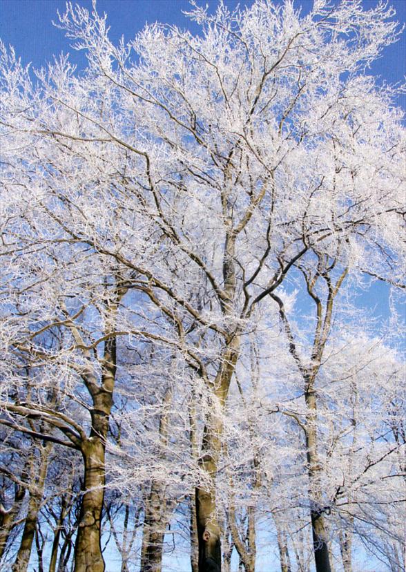 014 winter